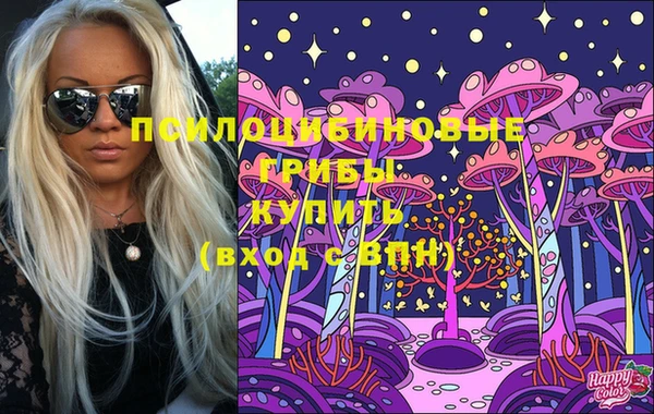 хмурый Аркадак