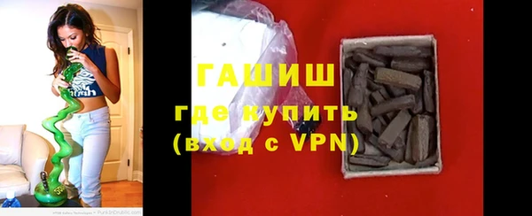 хмурый Аркадак