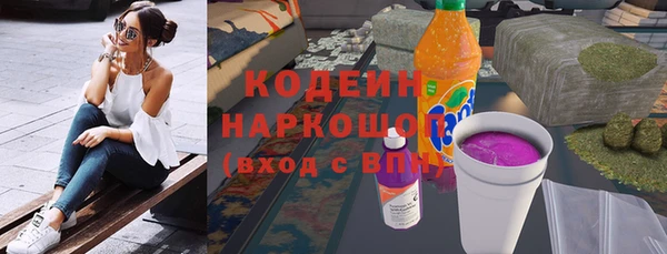 хмурый Аркадак